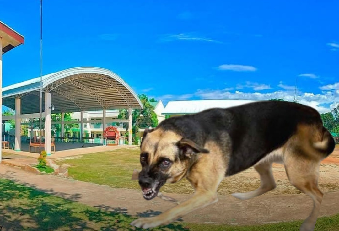 Image via GMA Super Radyo Iloilo