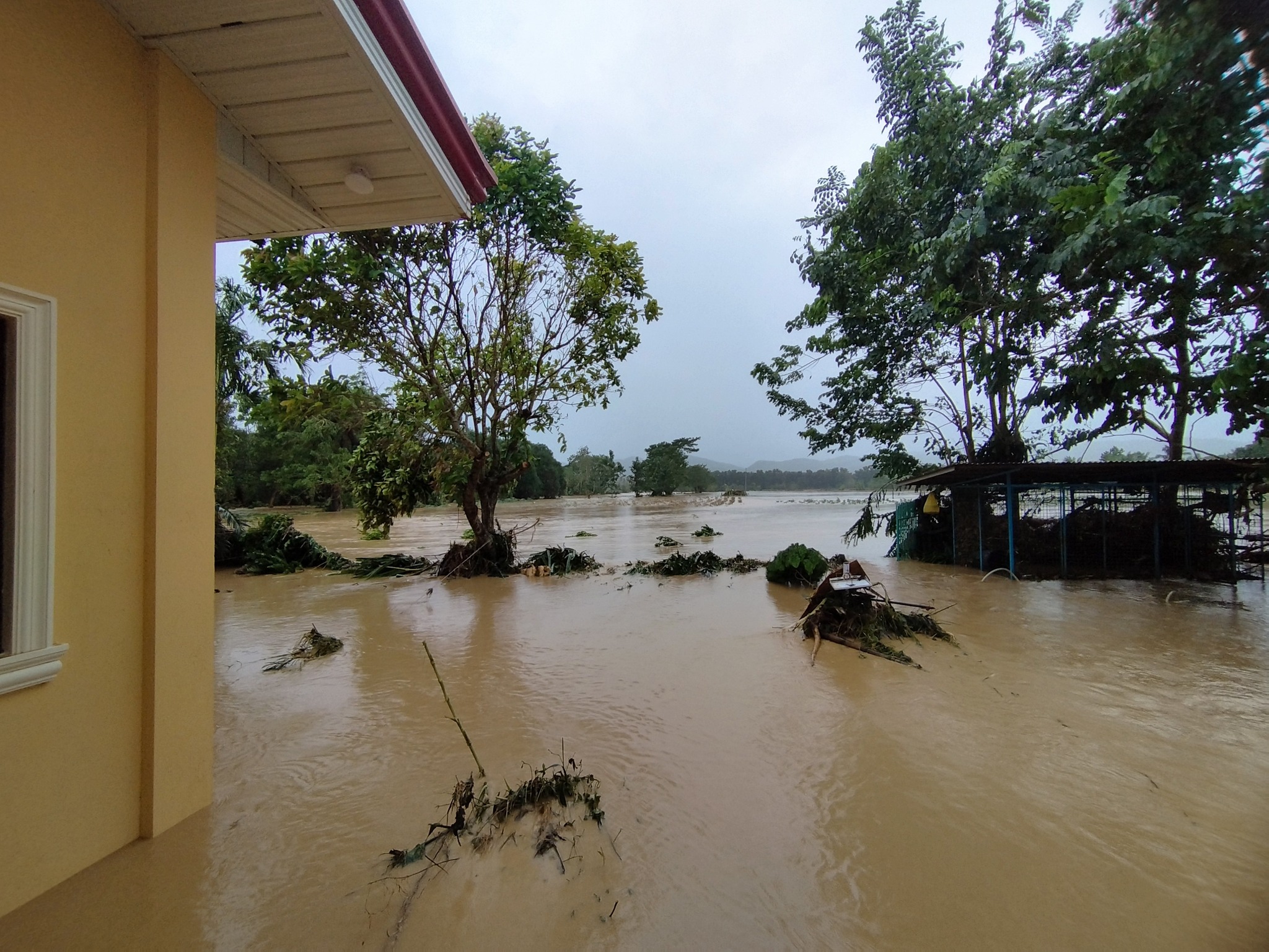 Image courtesy: Rave Bryan Yray