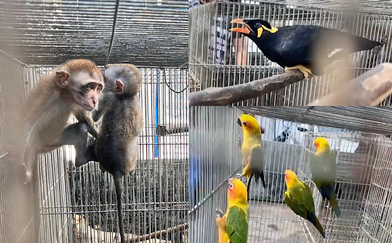 Photo courtesy: Regional Maritime Unit - 10