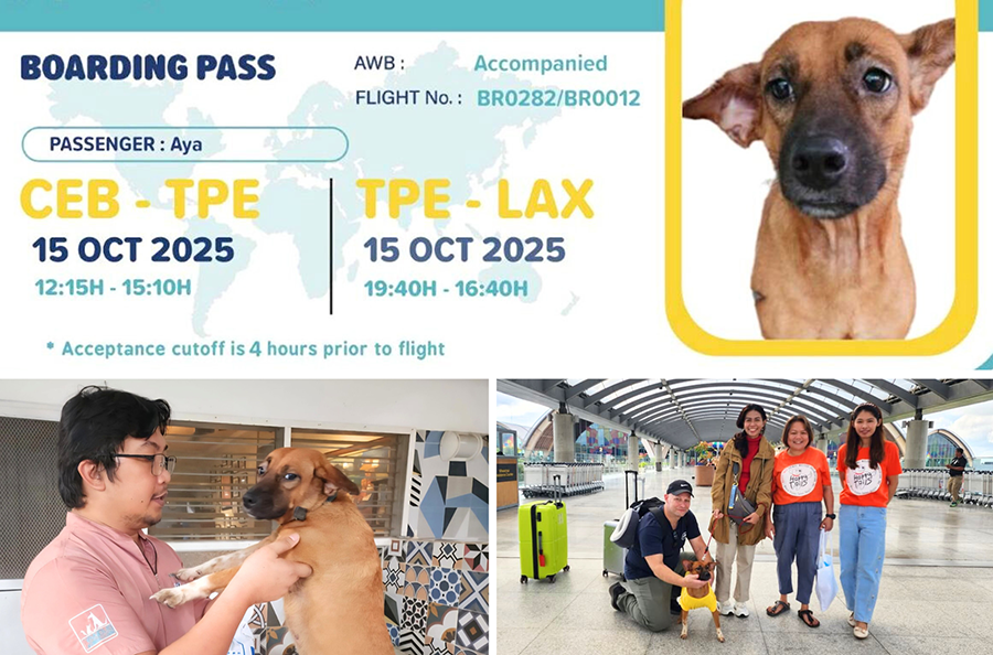 Image courtesy: Happy Tails Philippines/FB