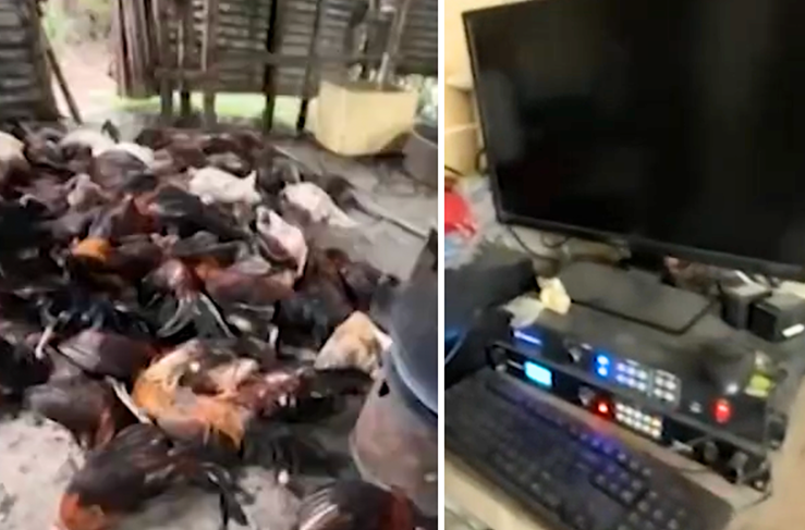 Images from video courtesy of PNP-NIR via GMA Regional TV Ratsada Balita