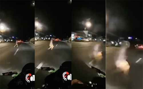 Images from video courtesy of Karl Dagus