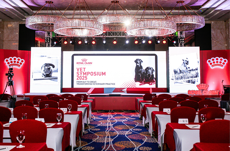 Photo from Royal Canin