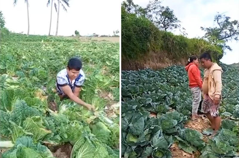 Images from videos courtesy of Ranel Cabasag Denard Agapor via GMA Regional TV Balitang Bisdak