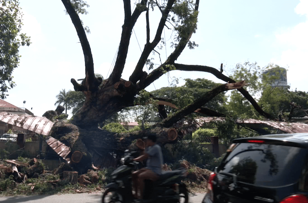 Photo via GMA Regional TV One North Central Luzon