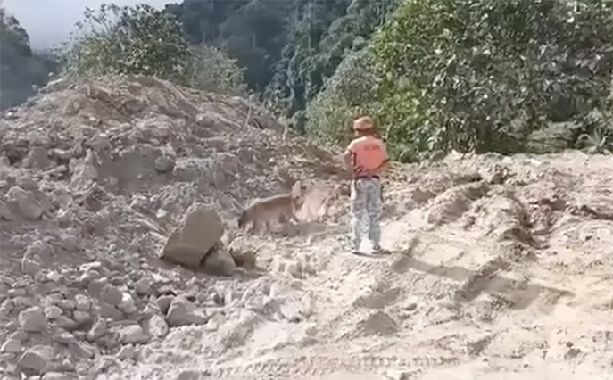 Image from video courtesy of CGDSEM