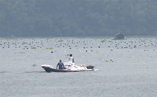 Photo via GMA Regional TV Balitang Bicolandia