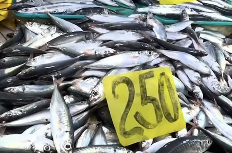 Image via GMA Regional TV Balitang Bisdak