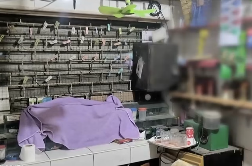 Image via GMA Regional TV Balitang Bisdak