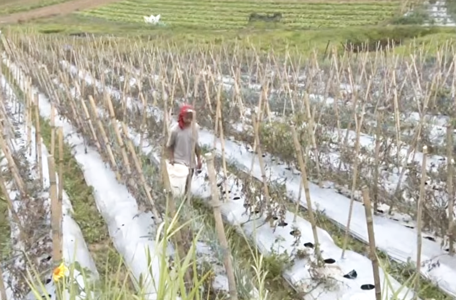 Image via GMA Regional TV Balitang Bisdak