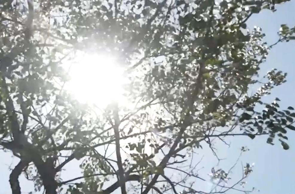 Image via GMA Regional TV One Western Visayas
