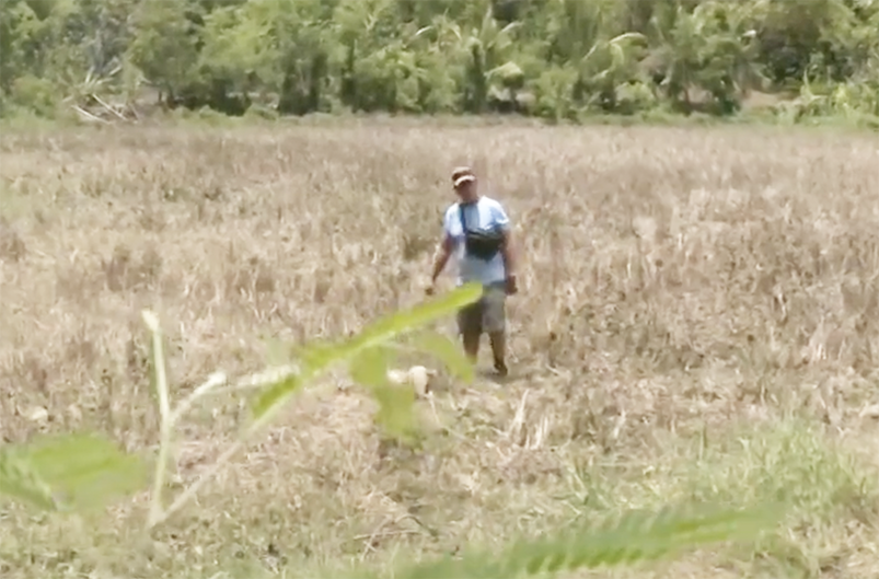 Image via GMA Regional TV One Western Visayas
