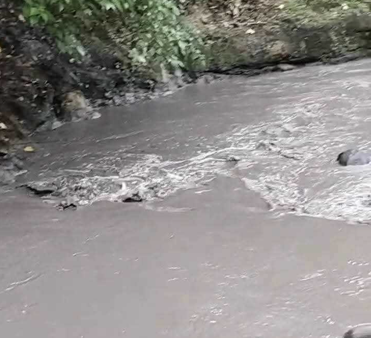 Image courtesy: La Castellana MDRRMO