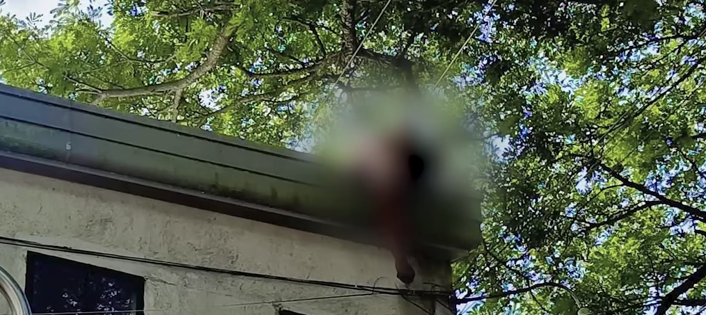 Image courtesy: Vicenta Lubaton