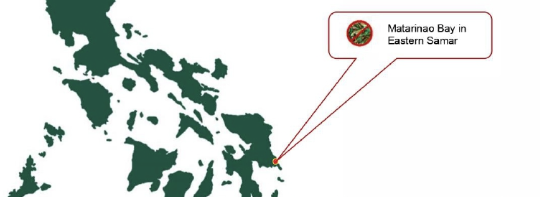 Image courtesy: Bureau of Fisheries and Aquatic Resources