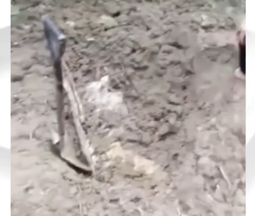 Image from contributed video