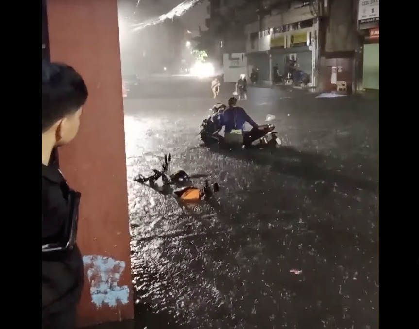 Image from Fred Louise Patricio's video