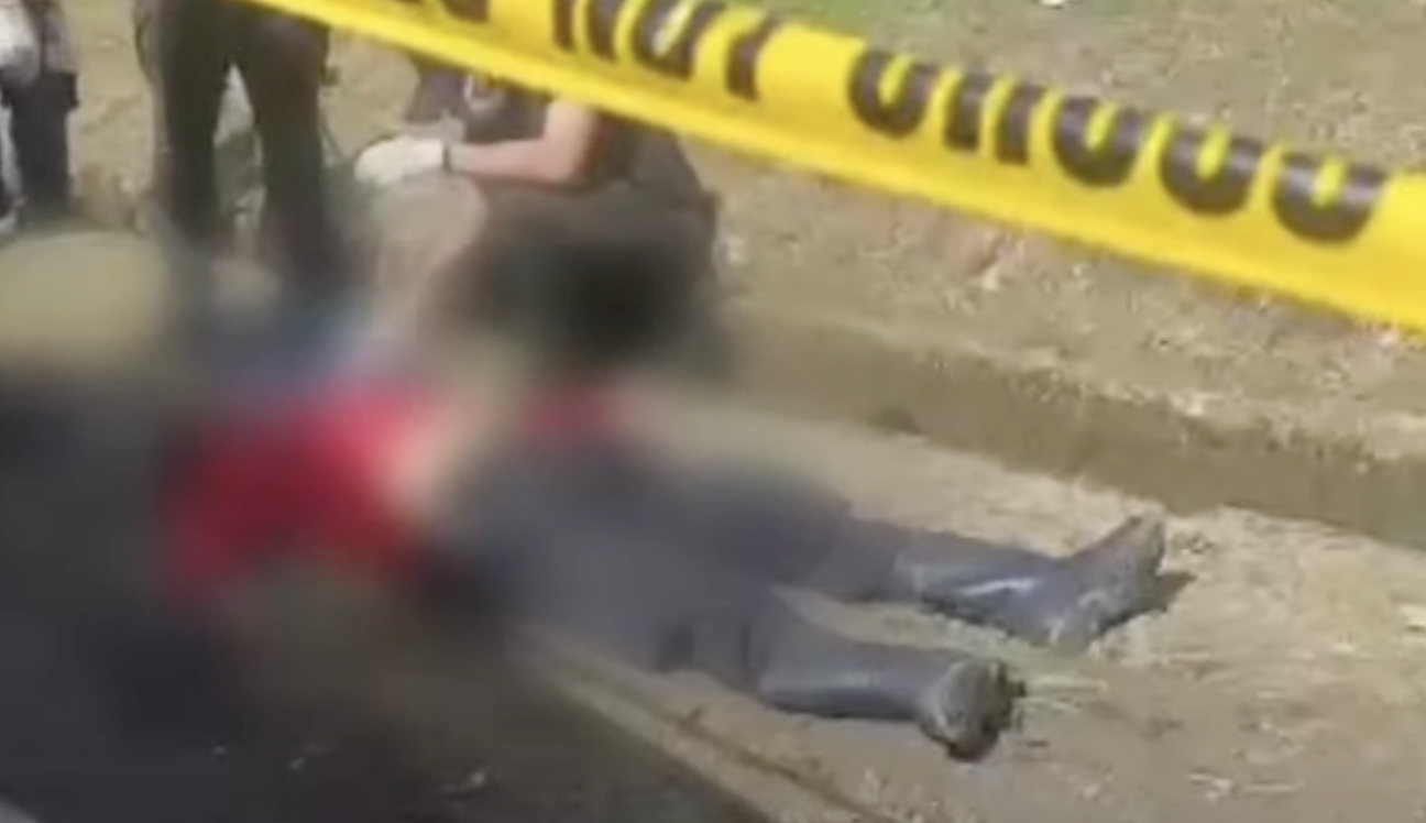 Image from Sheila Altubar's video