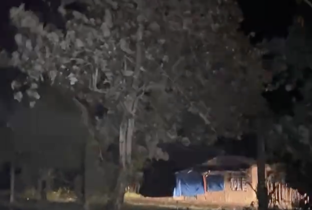 Image via Fe Marie Dumaboc/GMA Regional TV Balitang Bisdak