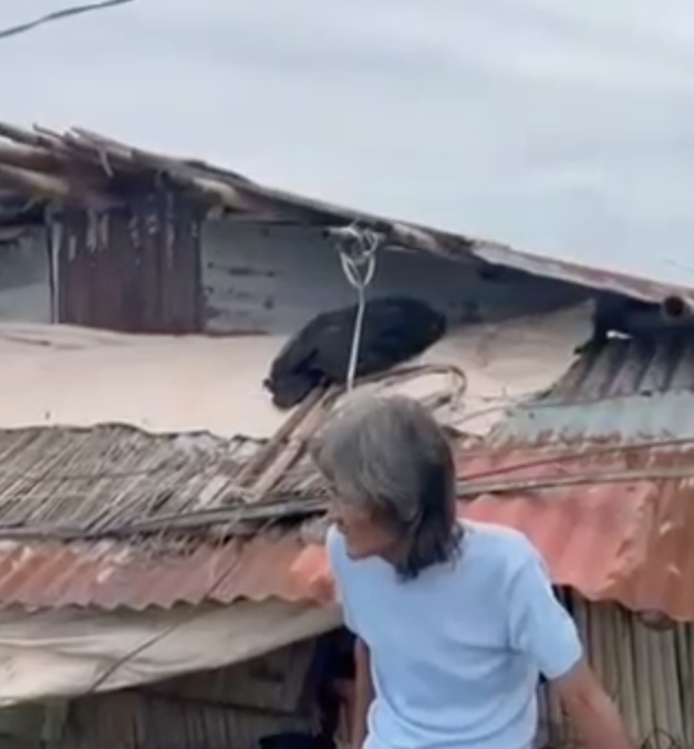 Image via John Sala/GMA Regional TV One Western Visayas