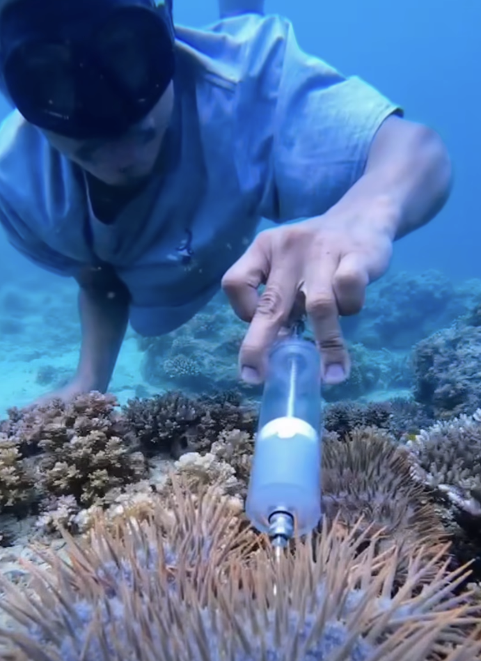 Image via Alan Domingo/GMA Regional TV Balitang Bisdak