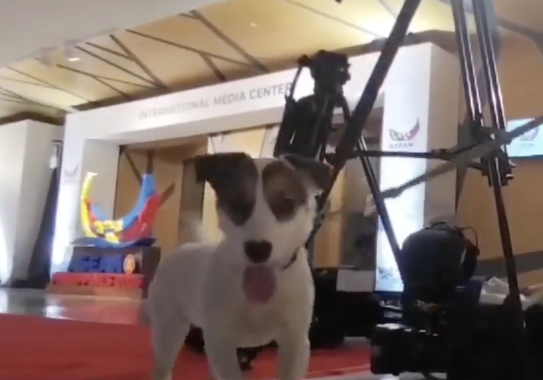 Image via GMA Regional TV Balitang Bisdak