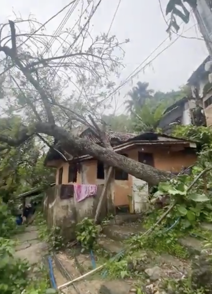 Image via Alan Domingo/GMA Regional TV Balitang Bisdak