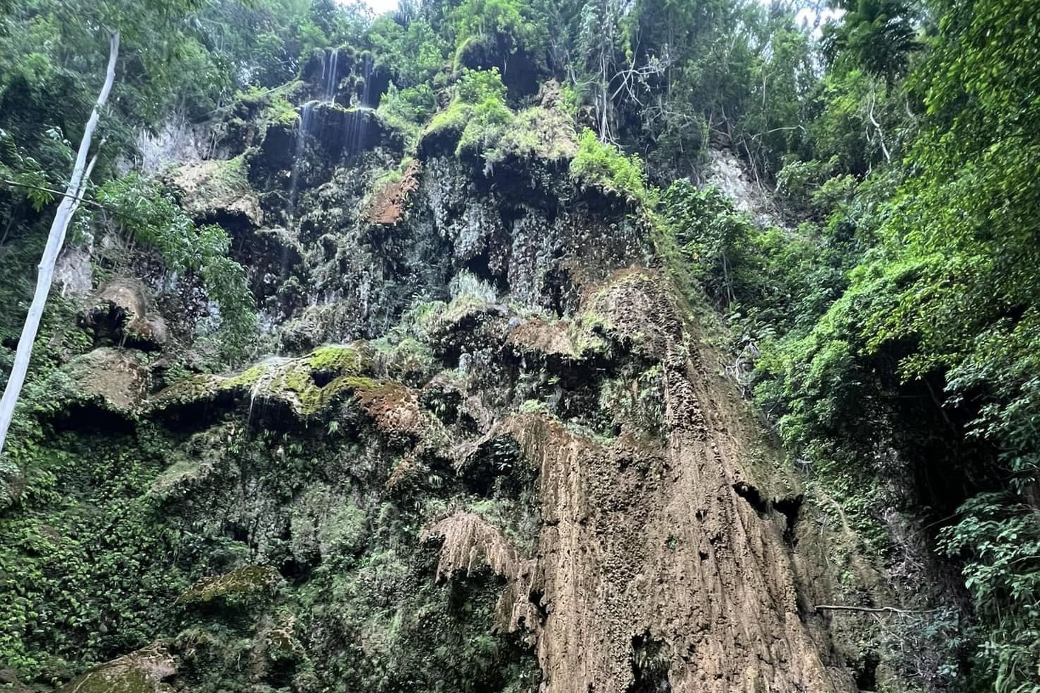 Image courtesy: Tumalog Falls, Oslob, Cebu/FB