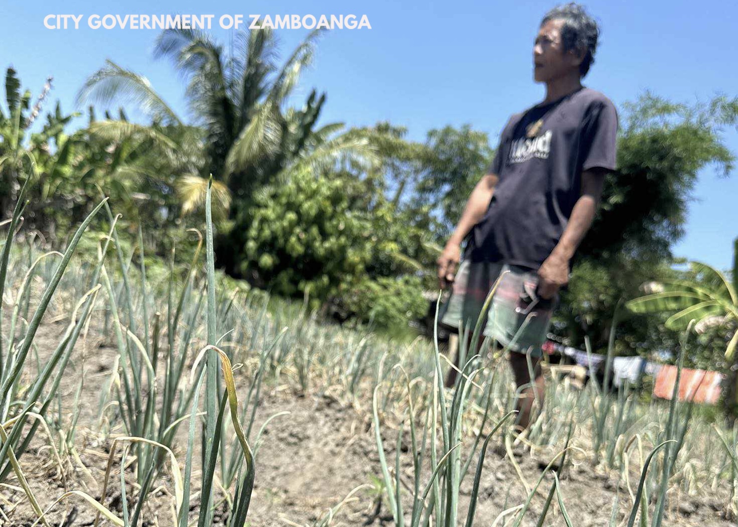 Image courtesy: City Government of Zamboanga