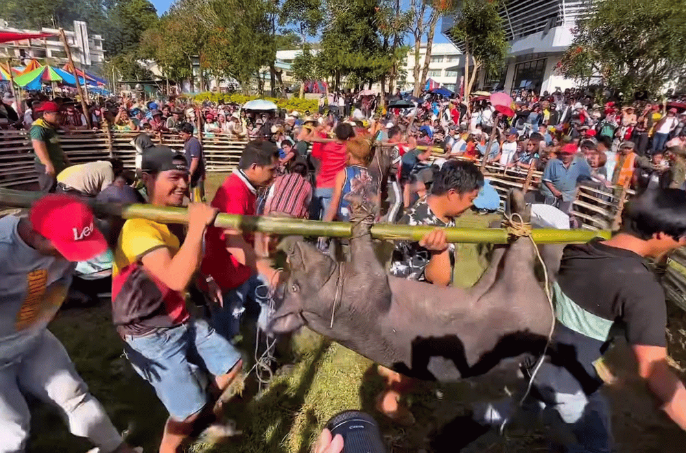 Photo via GMA Regional TV One North Central Luzon