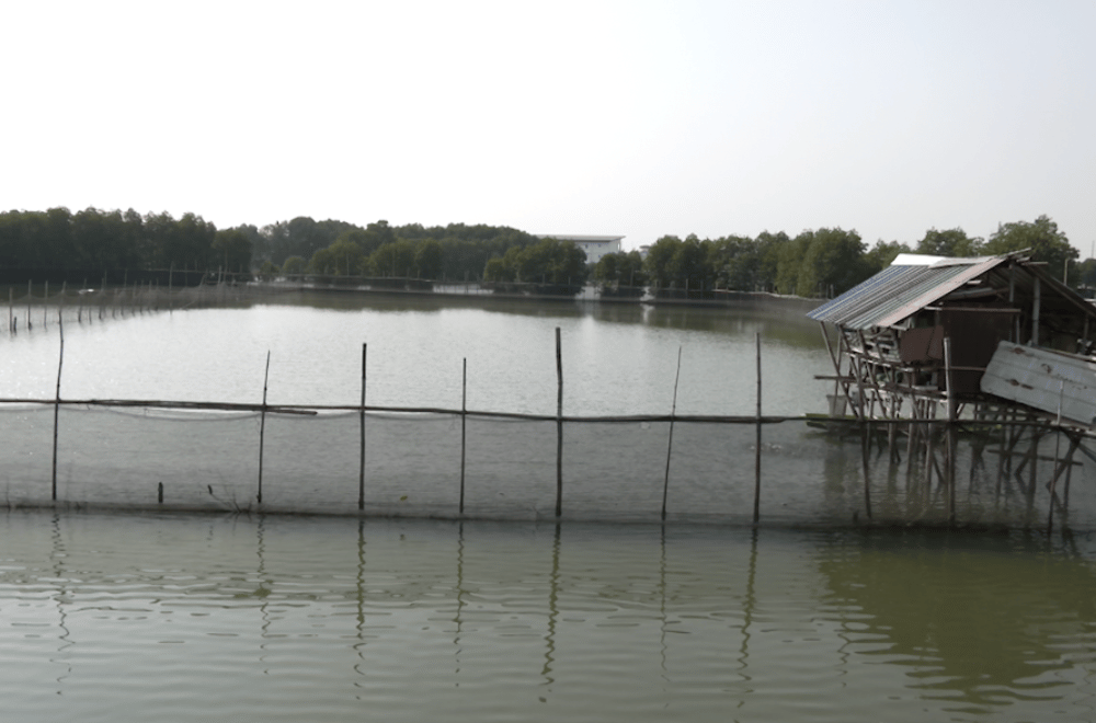 Image via GMA Regional TV One North Central Luzon