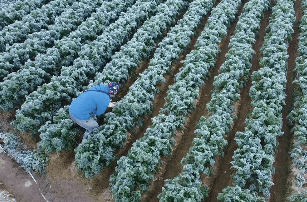 Photo courtesy: PJ Haight