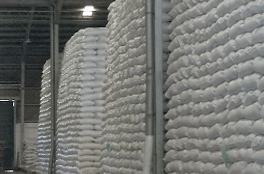 Photo via GMA Regional TV One North Central Luzon