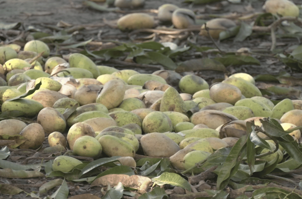 Photo via GMA Regional TV One North Central Luzon