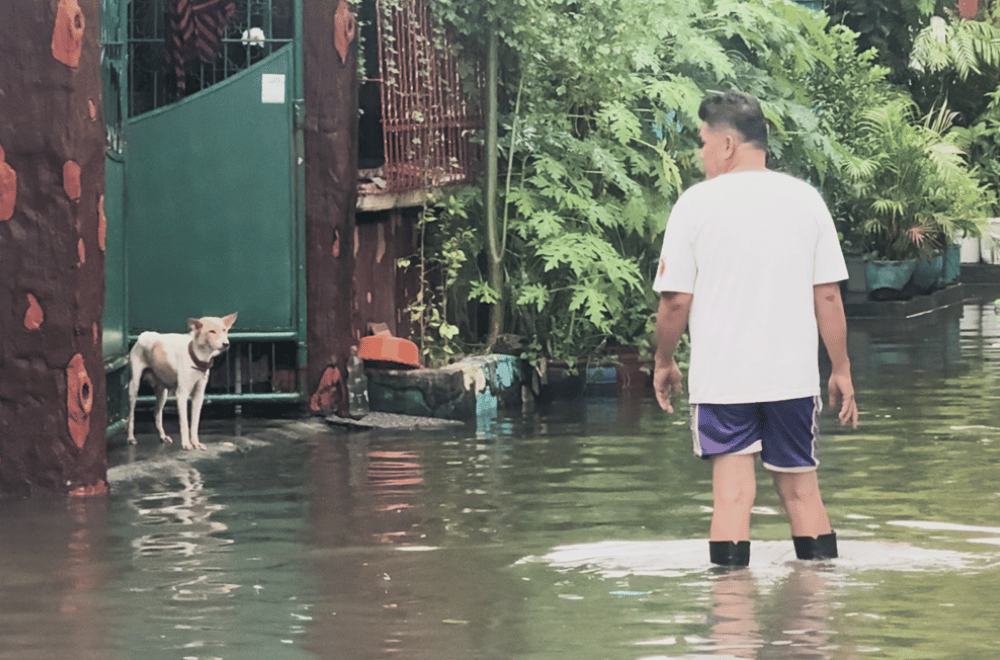 Photo via GMA Regional TV One North Central Luzon