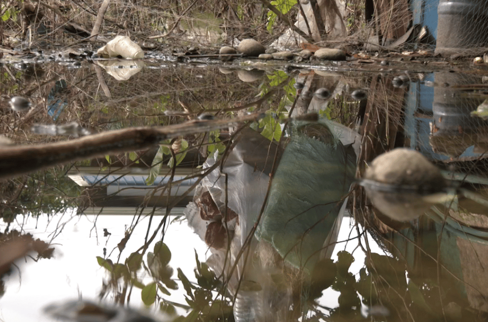 Photo via GMA Regional TV One North Central Luzon