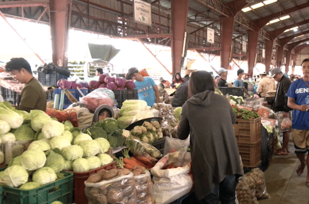 Photo via GMA Regional TV One North Central Luzon