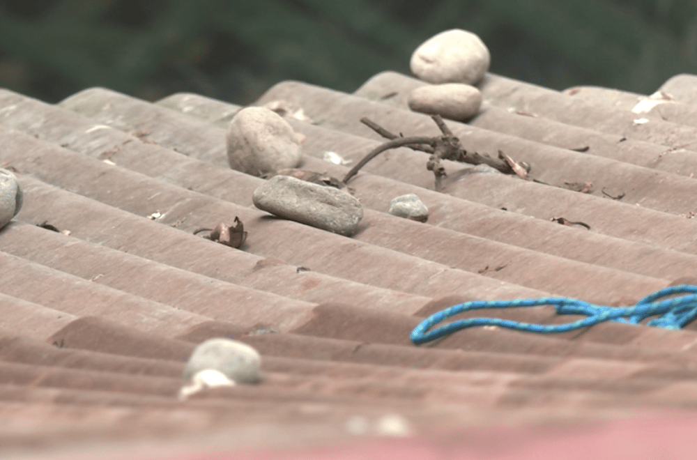 Photo via GMA Regional TV One North Central Luzon