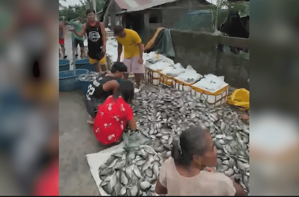 Photo courtesy: Arn Pagador/LGU-Buguey