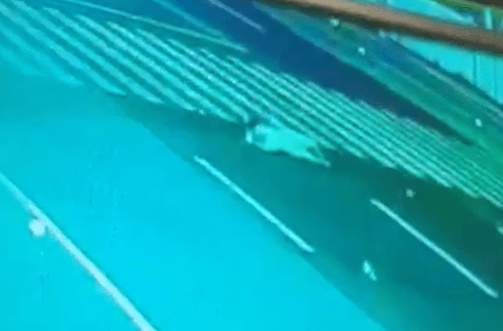 Photo courtesy: City of San Fernando Police Station 4