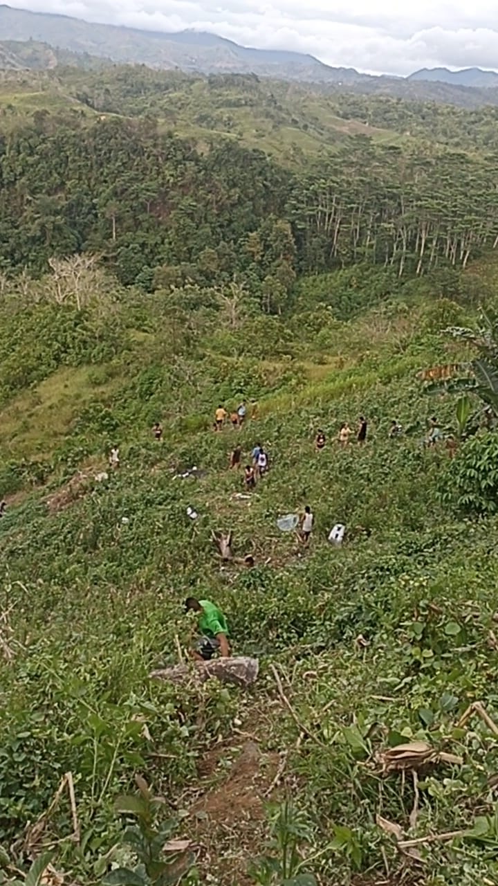  | Image courtesy: Joel Balamban