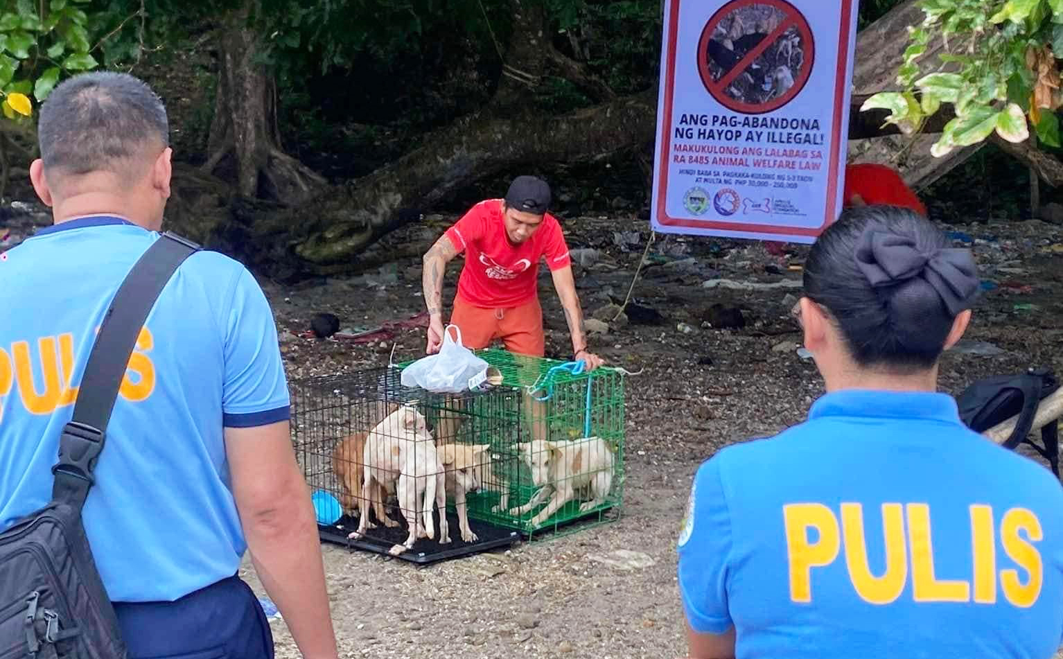 Photo via Animal Kingdom Foundation