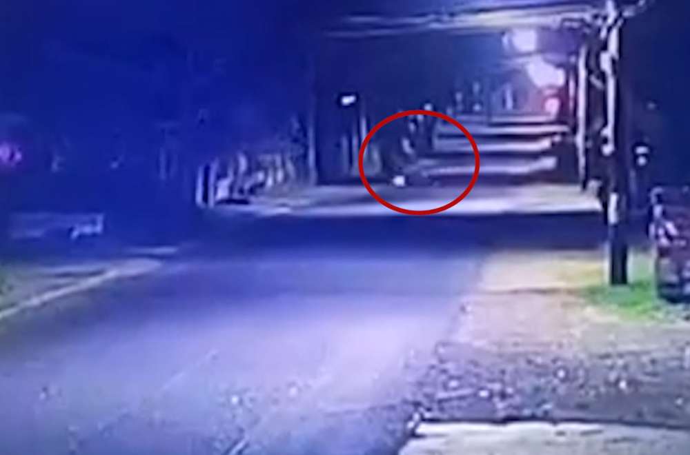 Photo Courtesy: Bumbay Almendral