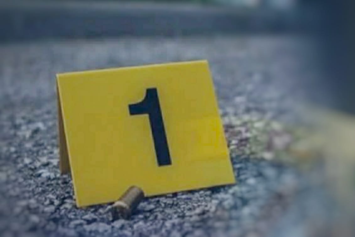 Photo courtesy: PRO-11