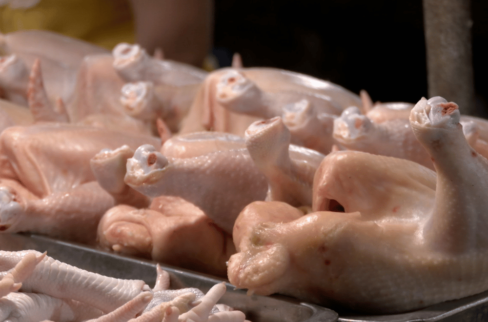 Photo via GMA Regional TV One North Central Luzon