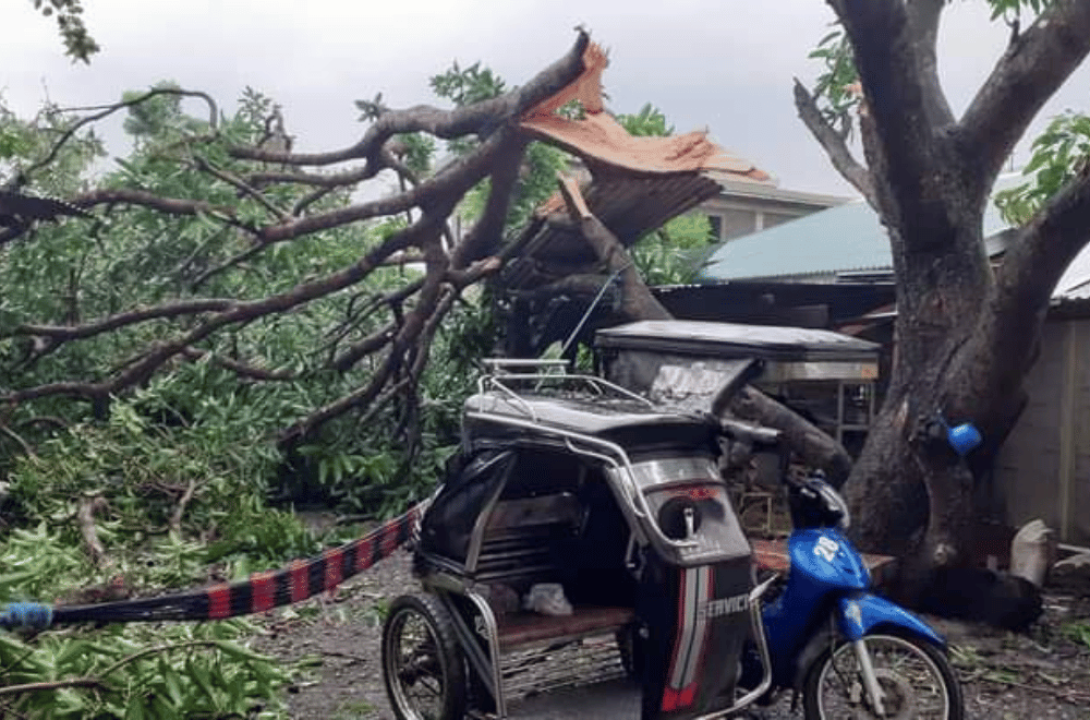 Photo courtesy: Asin East Barangay Council