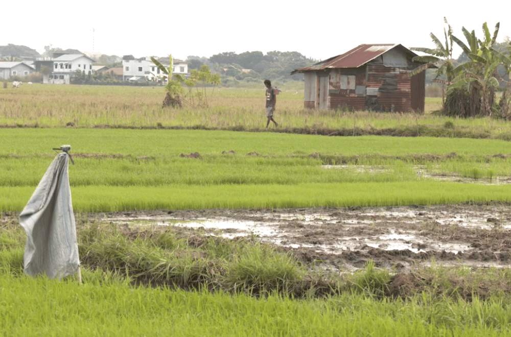 Photo via GMA Regional TV One North Central Luzon