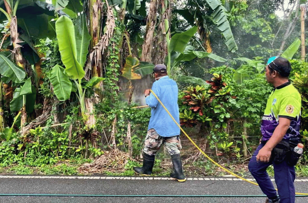 Photo courtesy: Calauan MHO