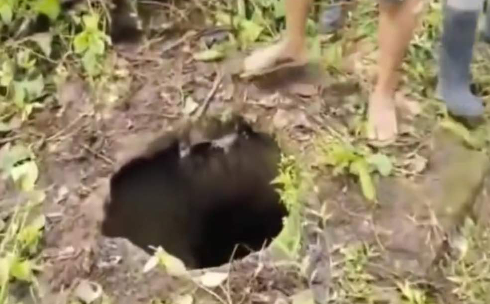 Image from video via Ismael Eking Cubillas