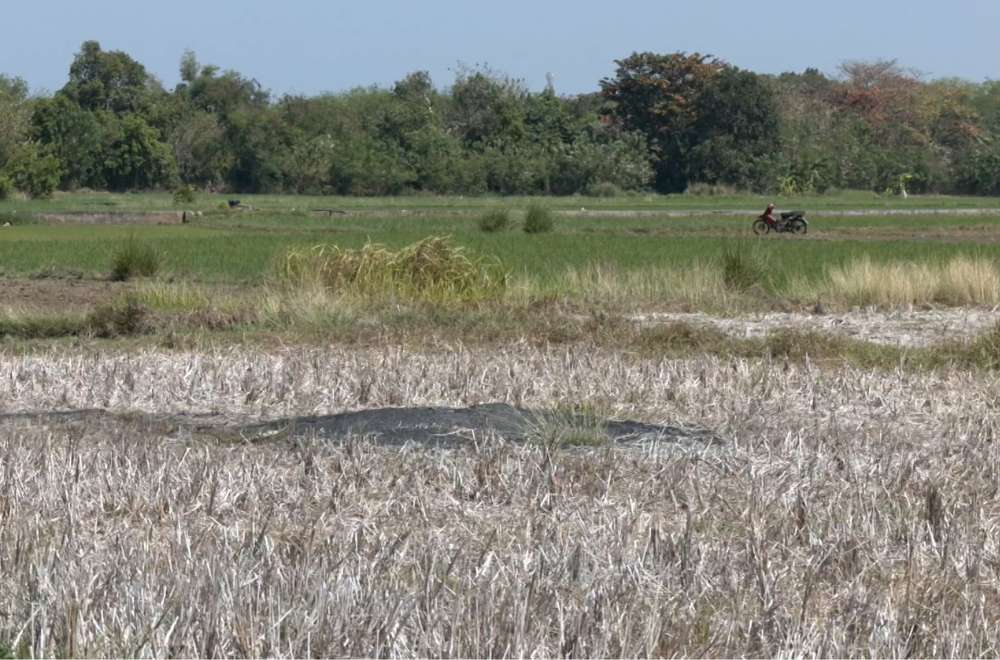 Photo via One North Central Luzon